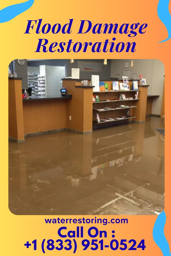 Flood Damage Restoration in Silverton, CO