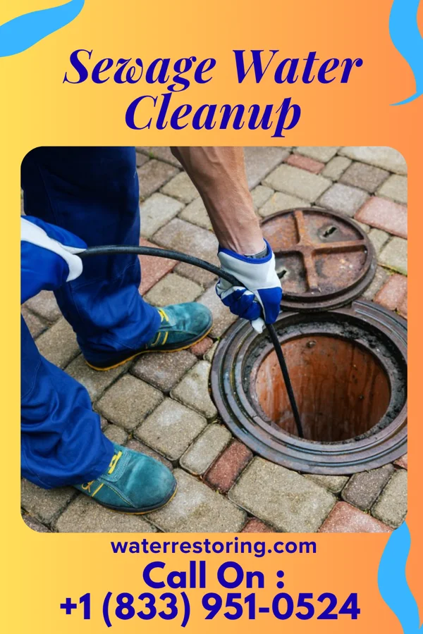 Sewage Water Cleanup in Silverton, CO